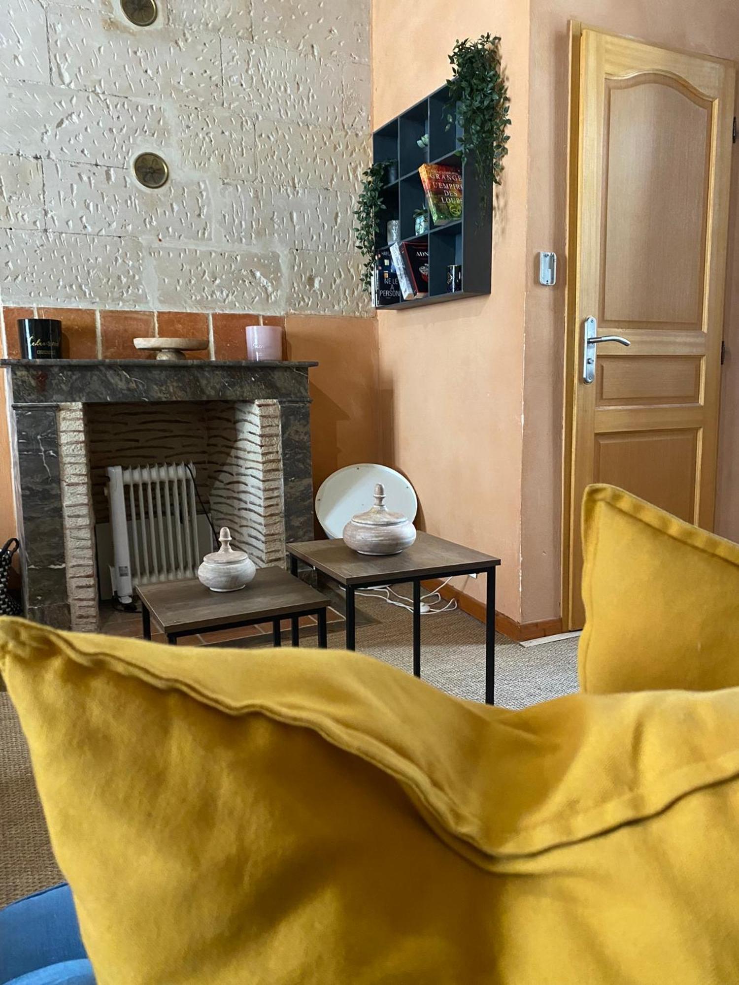 Grand Appartement Historique Rue Colbert Tours Dış mekan fotoğraf