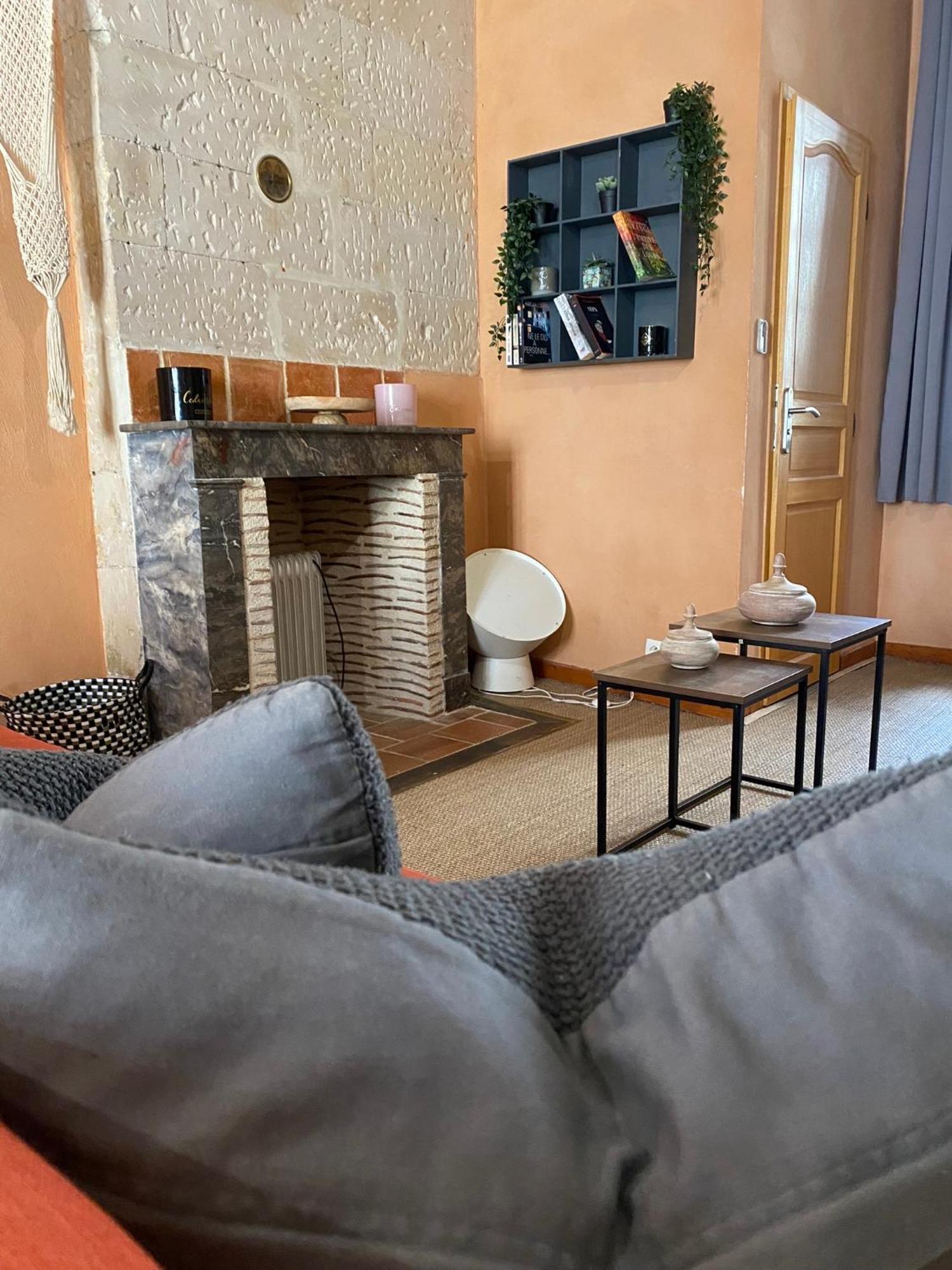 Grand Appartement Historique Rue Colbert Tours Dış mekan fotoğraf