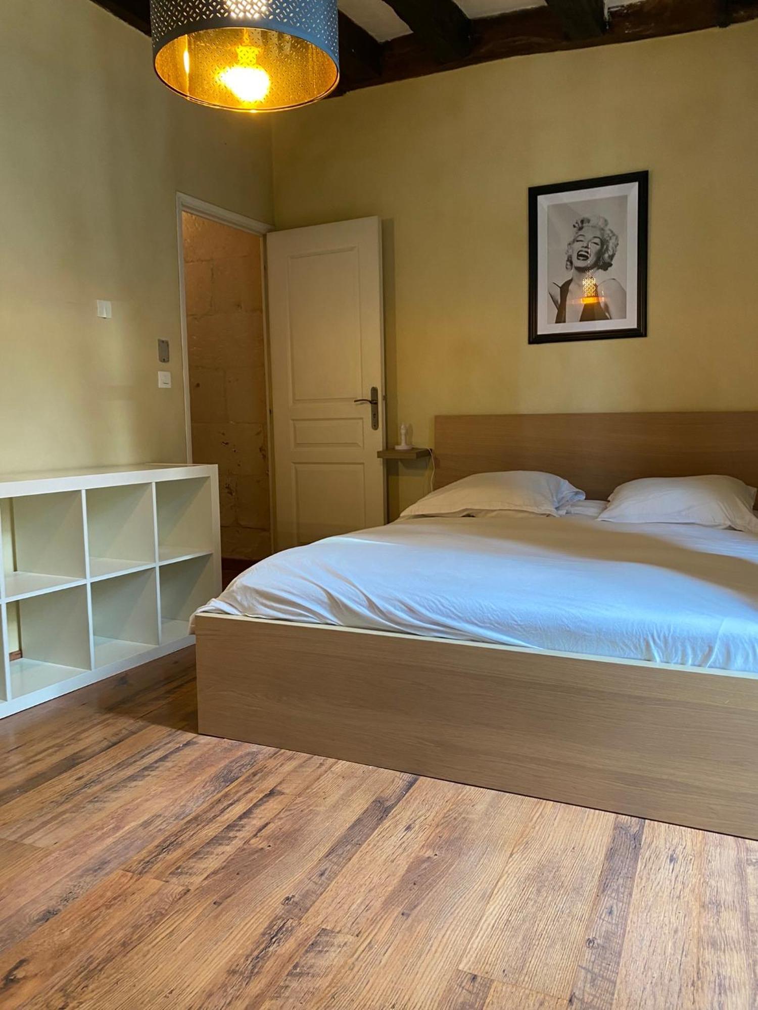 Grand Appartement Historique Rue Colbert Tours Dış mekan fotoğraf