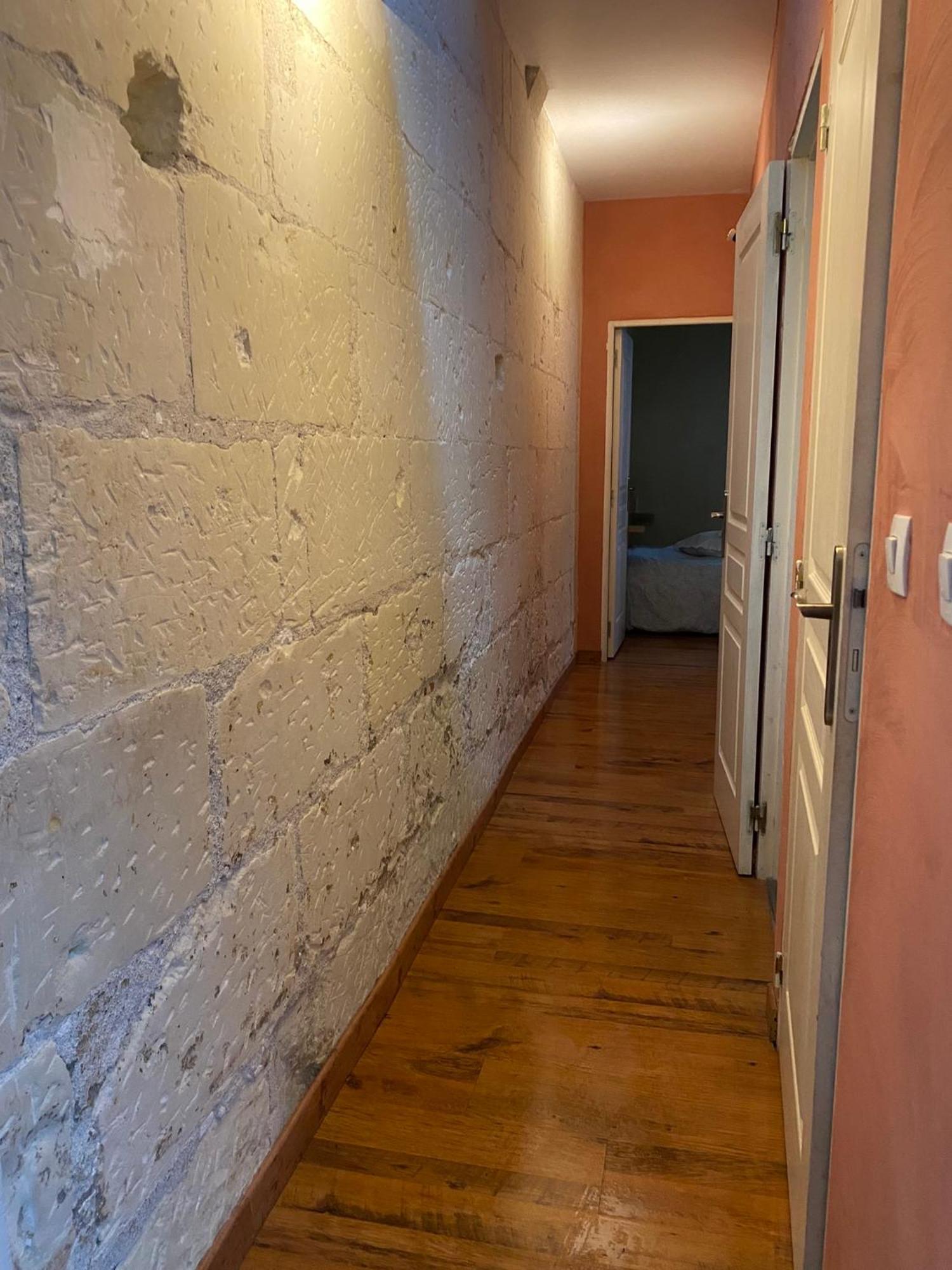 Grand Appartement Historique Rue Colbert Tours Dış mekan fotoğraf