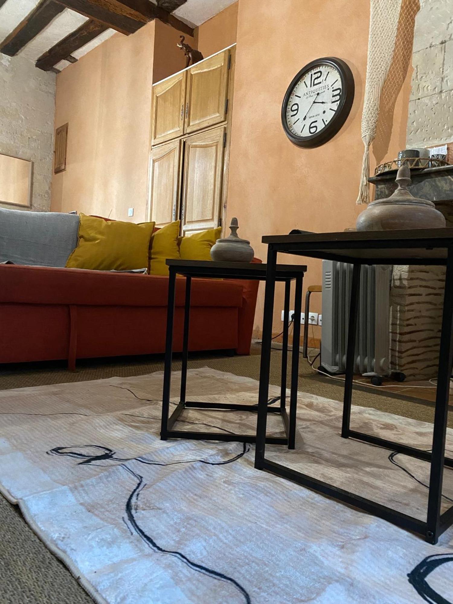 Grand Appartement Historique Rue Colbert Tours Dış mekan fotoğraf